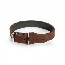 Double Leather collar Ace 25 mm x 550 mm